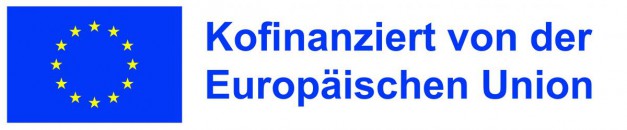 logo_enu_efre_druck